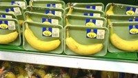 Mirip pada kasus jeruk, ada pisang satuan yang dikemas dalam kotak plastik seperti ini. Kira-kira kamu mau beli produk seperti ini? Foto: Istimewa