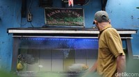 Tak hanya warna-warni, namun ada juga taman ikan koki di sini.