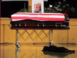 Kumpulan Foto Emosional yang Bikin Hati Terenyuh