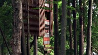 Lake Muskoka Tree House, Kanada, dirancang oleh arsitek Lukasz Kos. Satu keluarga besar muat di dalamnya tanpa mengusik kenyamanan. Rumah ini diklaim sangat aman karena ada tali kawat baja yang menopangnya. Istimewa/brightside.me.