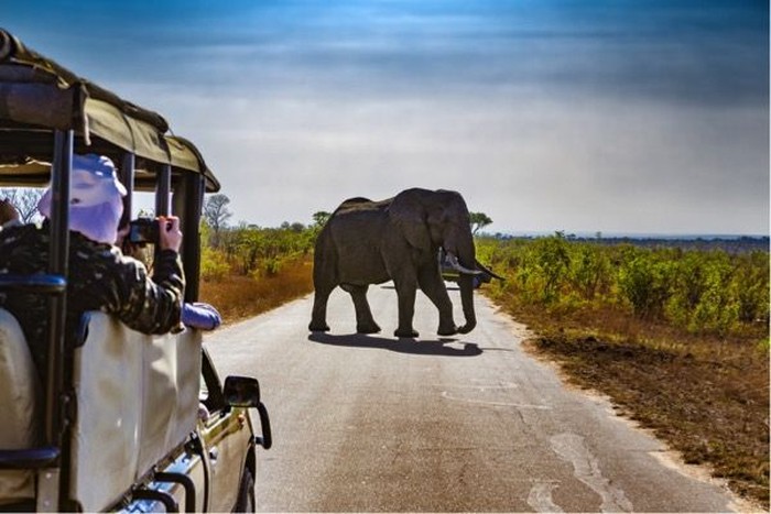 5 Surga Wisata Yang Wajib Dikunjungi Di Afrika Selatan