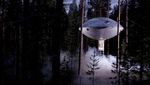 Rumah Pohon Gokil, dari Bentuk UFO Hingga Kamuflase