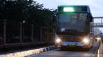Lucu, Badan Busway Ini Bergambar Ekosistem Laut