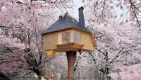 HemLoft Tree House, Jepang, terlihat menakjubkan. Dia dirancang oleh Terunobu Fujimori dan dibangun di taman ceri. Jika datang saat musim semi akan ada pemandangan yang sangat mempesona. Istimewa/brightside.me.