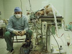 Kumpulan Foto Emosional yang Bikin Hati Terenyuh