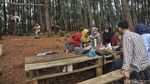 Pesona Wisata Hutan Pinus Pengger