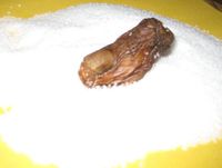 Hiii... Cocktail Ini Berisi Jari Kaki Manusia!
