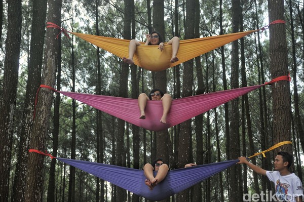 Hutan Pinus Pengger berada di Kecamatan Dlinggo, berbatasan dengan wilayah Kecamatan Pathuk Gunung Kidul. Di sini terdapat spot foto tangan raksasa, rumah pohon, jembatan kayu, dan rumah piramid ala Indian. (Pradita Utama) Hutan Pinus Pengger berada di Kecamatan Dlinggo, berbatasan dengan wilayah Kecamatan Pathuk Gunung Kidul. Di sini terdapat spot foto tangan raksasa, rumah pohon, jembatan kayu, dan rumah piramid ala Indian. (Pradita Utama)