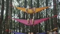Hutan Pinus Pengger berada di Kecamatan Dlinggo, berbatasan dengan wilayah Kecamatan Pathuk Gunung Kidul. Di sini terdapat spot foto tangan raksasa, rumah pohon, jembatan kayu, dan rumah piramid ala Indian. (Pradita Utama)
