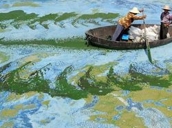 Deretan Foto Menakjubkan Tanpa Sentuhan Photoshop