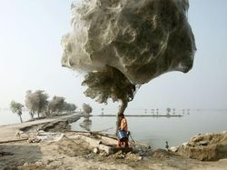 Deretan Foto Menakjubkan Tanpa Sentuhan Photoshop