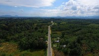 Proyek jalan perbatasan di Provinsi Kalimantan Barat salah satunya digarap PT Wijaya Karya (Persero) Tbk atau WIKA.Foto: Dok. PT Wijaya Karya (Persero) Tbk