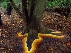 Deretan Foto Menakjubkan Tanpa Sentuhan Photoshop