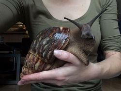 Deretan Foto Menakjubkan Tanpa Sentuhan Photoshop