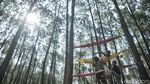 Pesona Wisata Hutan Pinus Pengger
