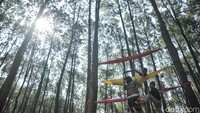 Tempat ini menjadi populer karena spot foto selfienya yang menarik dan selalu diperbarui oleh pengelola.