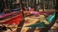 Sejumlah wisatawan bermain di Hutan Pinus Pengger, Dlingo, Bantul, Yogyakarta, Sabtu (14/4/2018).