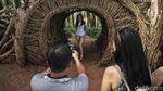 Pesona Wisata Hutan Pinus Pengger