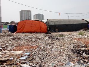 Pemprov DKI Mulai Survei Lapangan untuk Bangun Kampung Akuarium