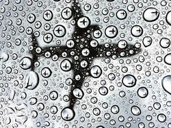 Deretan Foto Menakjubkan Tanpa Sentuhan Photoshop