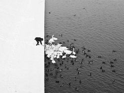 Deretan Foto Menakjubkan Tanpa Sentuhan Photoshop