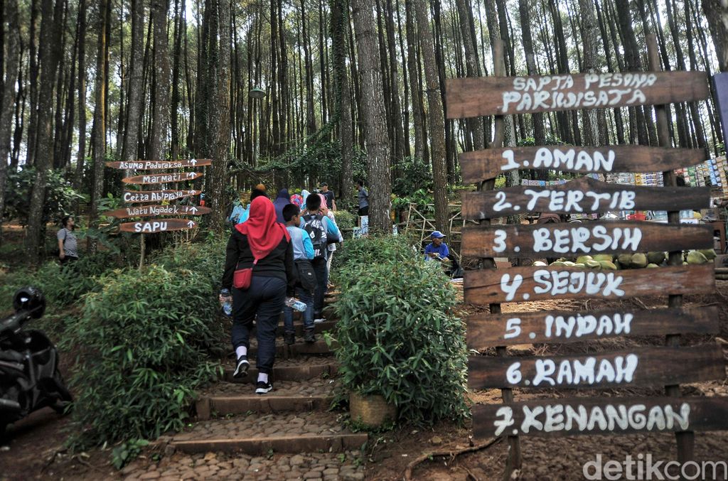 Sejumlah wisatawan bermain di Hutan Pinus Pengger, Dlingo, Bantul, Yogyakarta, Sabtu (14/4/2018). Hutan pinus yang memberikan spot foto unik serta menikmati pemandangan dari atas bukit itu menjadi destinasi wisata alternatif bagi wisatawan dari Yogyakarta hingga luar daerah.