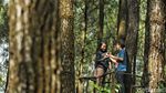 Pesona Wisata Hutan Pinus Pengger
