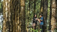 Pengelola Hutan Pinus Pengger termasuk rajin dan kreatif dalam menciptakan spot-spot selfie.