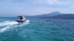 Foto: Tempat Cantik Melihat Lumba-lumba di Lampung