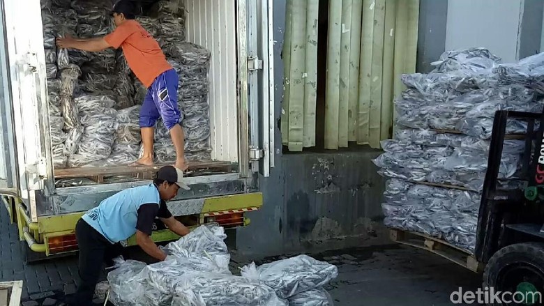 Pabrik Pengalengan Ikan di Indonesia Masih Banyak Gunakan Ikan Impor Pabrik Pengalengan Ikan di Indonesia Masih Banyak Gunakan Ikan Impor