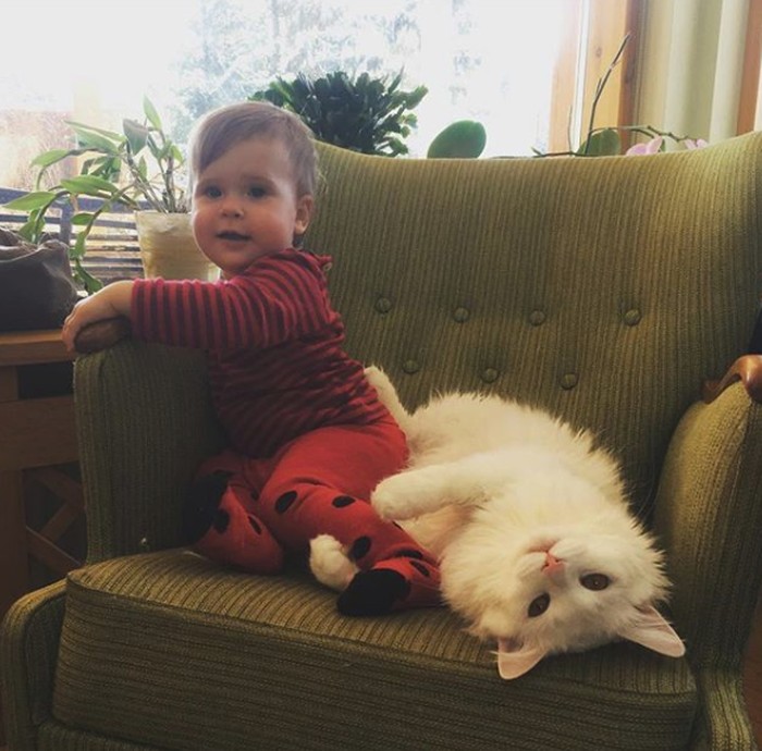 Bayi dan kucing