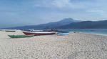 Foto: Tempat Cantik Melihat Lumba-lumba di Lampung