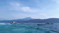 Selain memiliki laut dengan lumba-lumba, pulau ini juga memiliki pantai pasir putih yang cantik. (Mercy Raya/detikTravel)