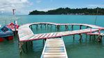 Foto: Pulau Kucing di Indonesia