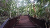 Tempat ini merupakan salah satu ikon lain dari Raja Ampat selain Wayag. Namun, aksesnya lebih mudah dan terjangkau (Shinta/detikTravel)