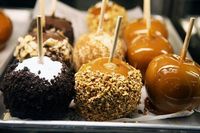 Mau Tahu Apa Pengaruh Zodiak pada Pilihan Makanan? Coba Cek di Sini!