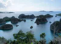 Bulan Oktober Ini, ke Festival Bahari Raja Ampat Cuma Rp 5 Juta