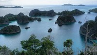 Waktu Presiden RI Joko Widodo bertandang, inilah tempat yang ia jadikan spot foto (Shinta/detikTravel)