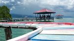 Foto: Pulau Kucing di Indonesia