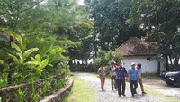 Suasana hijau di Pantai Tanjung Setia. Sebenarnya di Krui ada Bandara Muhammad Taufik Kiemas, namun belum aktif lagi secara komersil. Padahal pesawat kecil bisa mendarat di sini (Mercy/detikTravel)