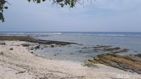 Salah satu sudut cantik Pantai Tanjung Setia. Sayang akses jalannya masih rusak, butuh 7 jam perjalanan dari Bandar Lampung (Mercy/detikTravel)