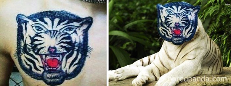 Paling Keren 28 Gambar Tato Harimau Gambar Tato Keren