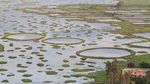 Foto: Danau Ajaib yang Pulaunya Bisa Bergerak Sendiri