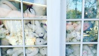 Koleksi boneka kelinci berwarna putih (cflacke1/Instagram) 