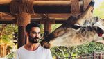 Si Turis Ilkay Gundogan