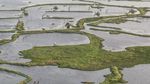 Foto: Danau Ajaib yang Pulaunya Bisa Bergerak Sendiri