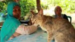 Foto: Pulau Kucing di Indonesia