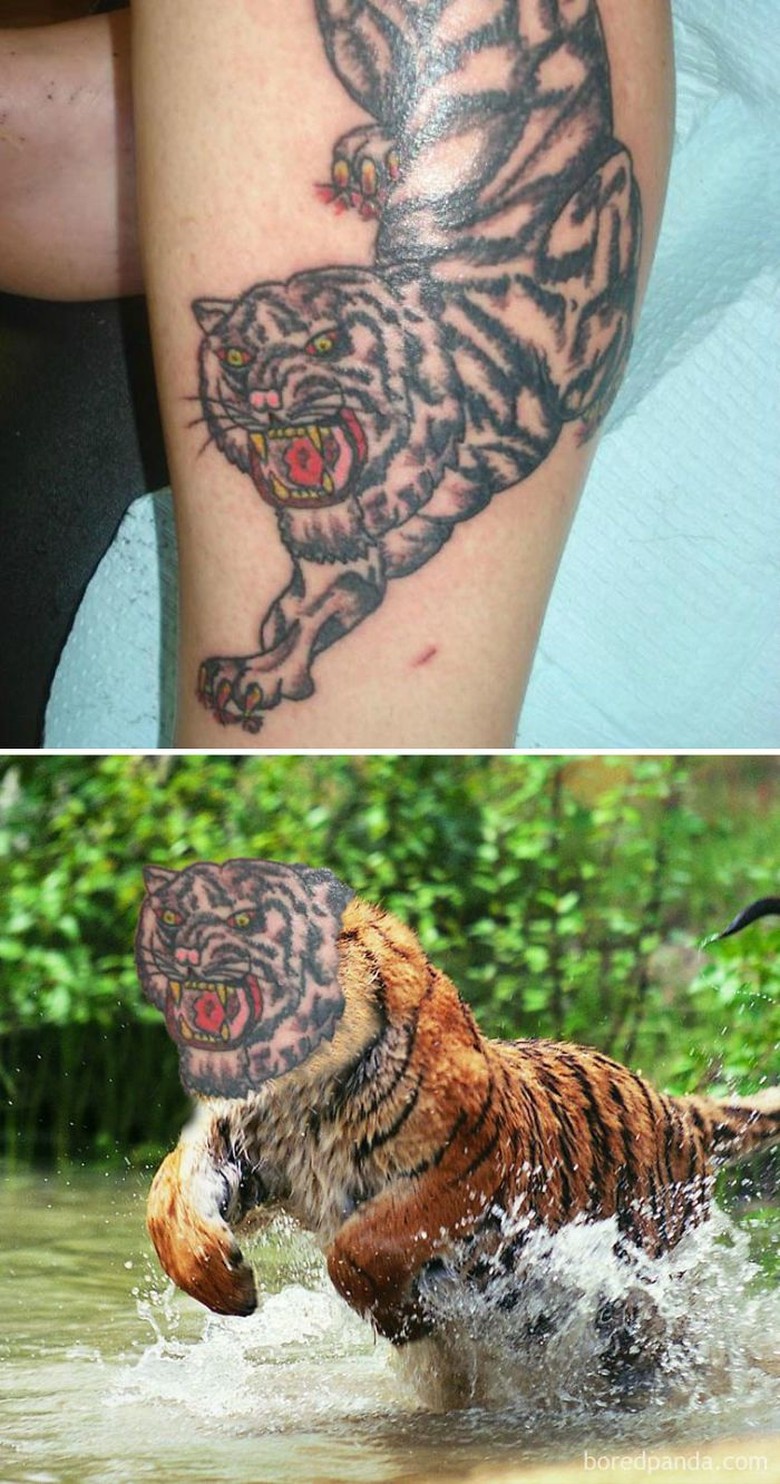 Download 980 Koleksi Gambar Harimau Tato Terbaik Gratis