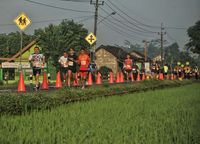  Mandiri Jogja Marathon: Lari Sehat Sinergi dengan Wisata Budaya
