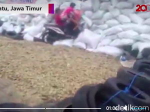 Tentang Ekstremnya Turunan Cangar-Pacet dan Motor Terbang